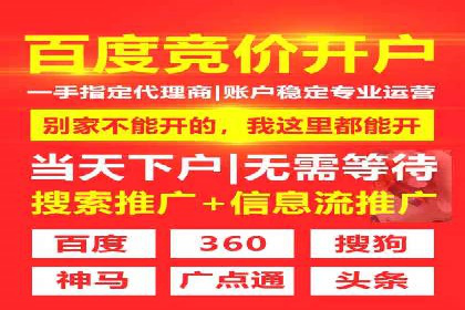 sem托管服务实战案例：广告投放效果翻倍增长